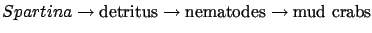 $\displaystyle
Spartina\rightarrow\textrm{detritus}\rightarrow\textrm{nematodes}\rightarrow\textrm{mud
crabs}$