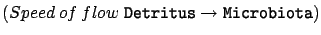 $\displaystyle (Speed\: of\:
 flow\;\texttt{Detritus}\rightarrow\texttt{Microbiota})$