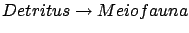 $\displaystyle Detritus\rightarrow Meiofauna$
